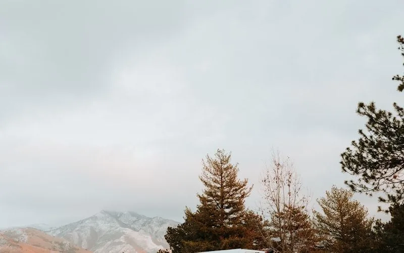 Véhicule blanc circulant sur une route